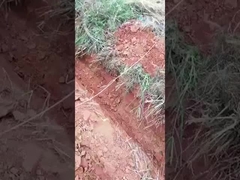 0.6 Ton 0.8 Ton Mini Crawler Excavator Small Micro  Digger