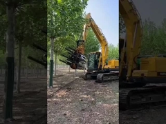 tree moving machine